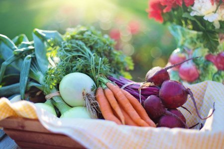 How to save money on groceries Canada
