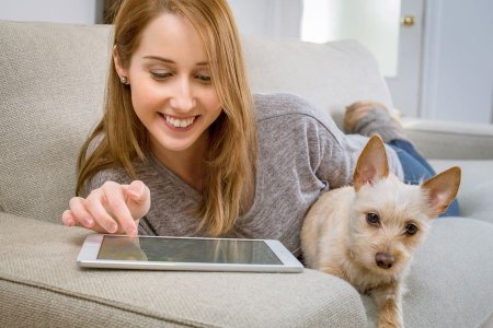 Become a proofreader in 2019