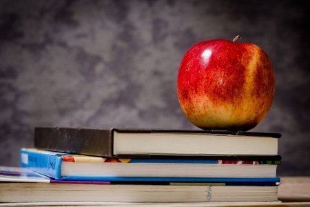 Online tutoring jobs no experience