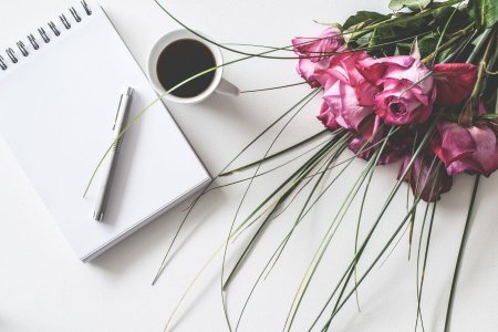 Big wedding on a small budget