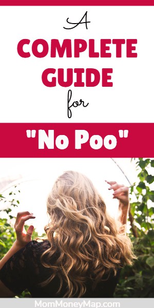 No Poo Shampoo