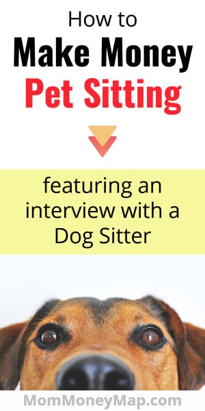 How to become a pet walker