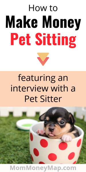 How to become a dog sitter/walker