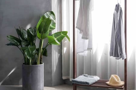tips on becoming a minimalist