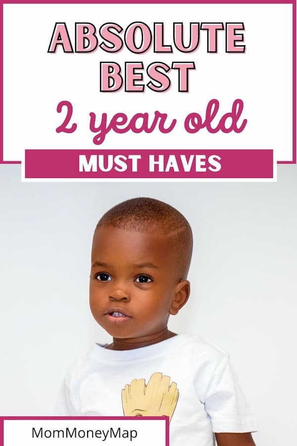 Must Haves For 2-3 Year Old