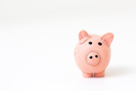 line item budget