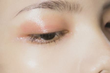 makeup starter kit for beginners