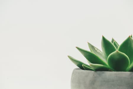 everything i own minimalist