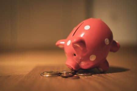 financial literacy activities for adults